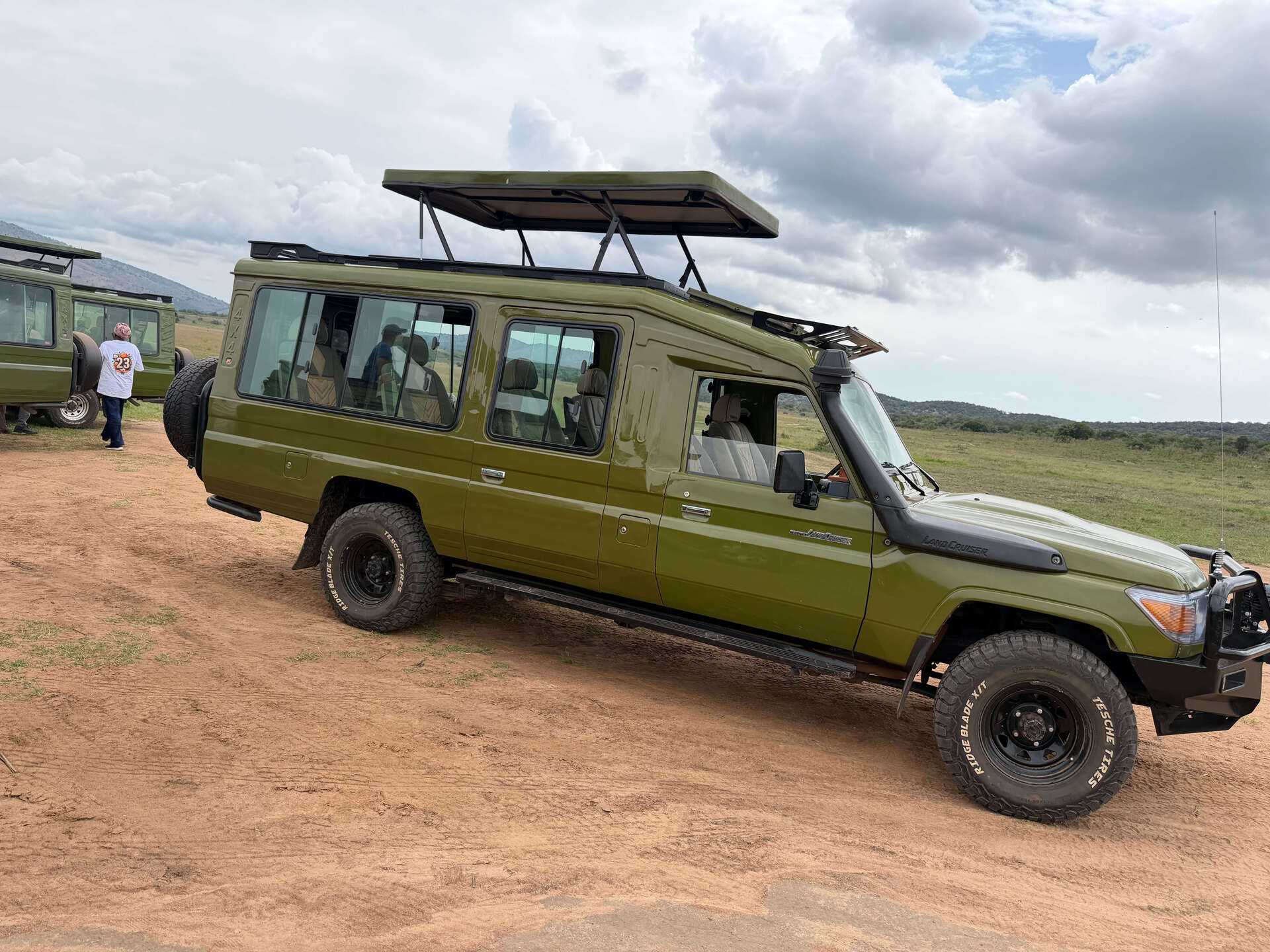 African wildlife safari