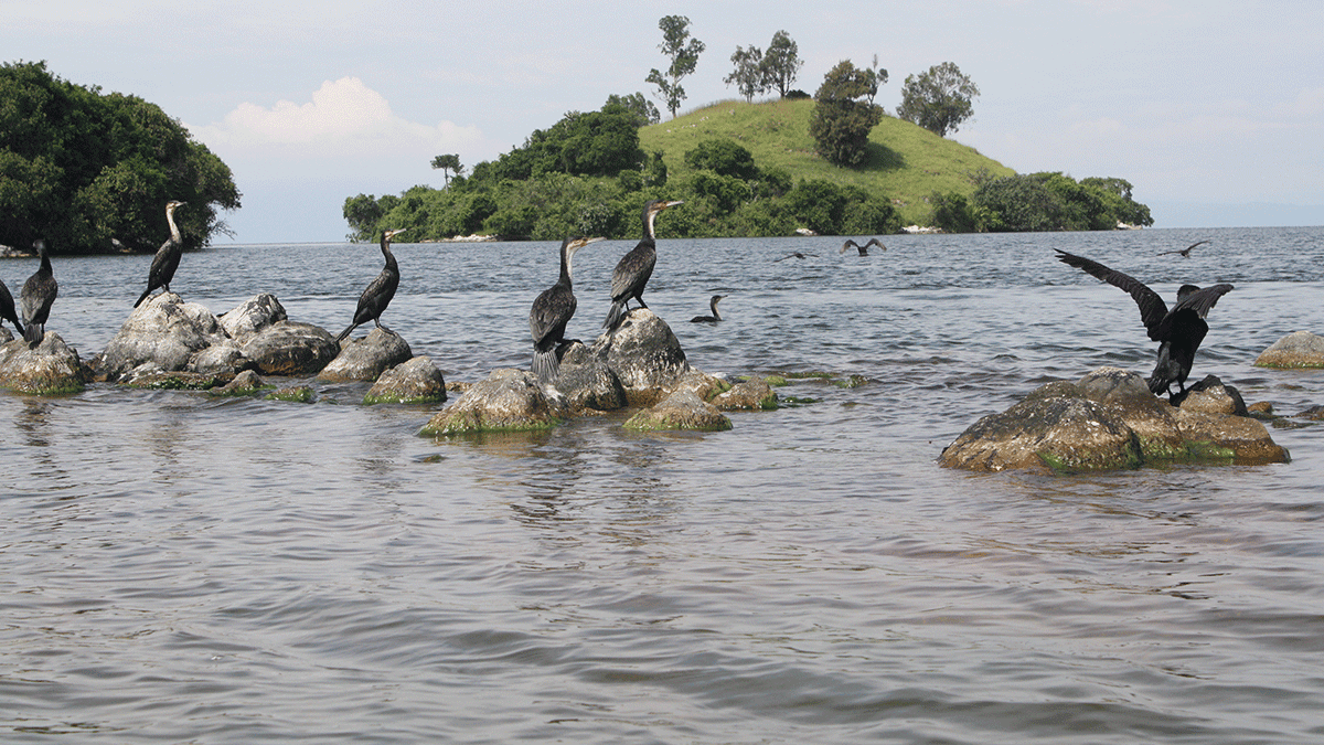 Scenic mountain landscape for a Rwanda tour